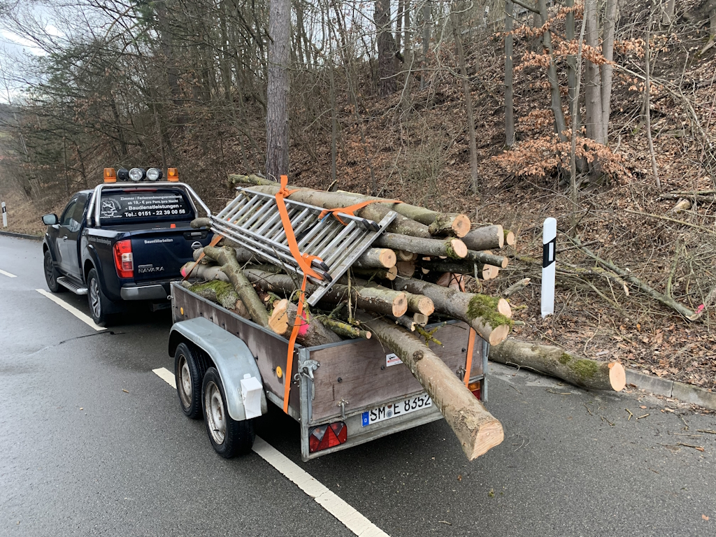 Abtransport ins Sägewerk